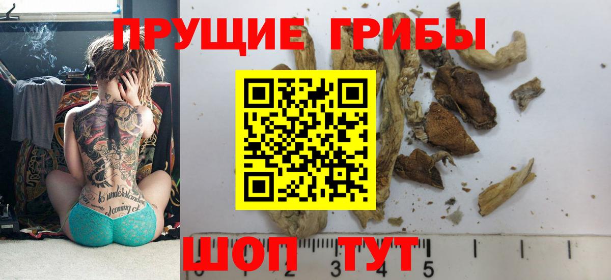 Галлюциногенные грибы MAGIC MUSHROOMS Хасавюрт