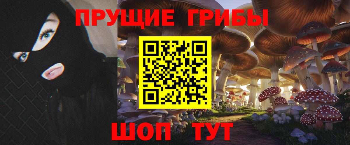 Псилоцибиновые грибы прущие грибы  Вход с VPN  Хасавюрт 