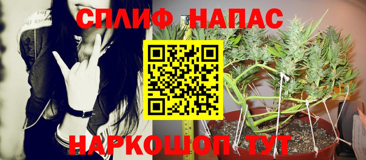 Хасавюрт  МАРИХУАНА семена  Каннабис гибрид  Вход с VPN  Марихуана марихуана  Конопля конопля 